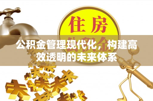 扬州公积金管理现代化，构建高效透明的未来体系