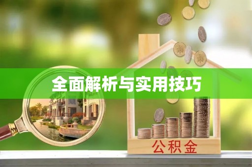 扬州全面解析与实用技巧