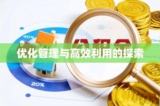 扬州优化管理与高效利用的探索
